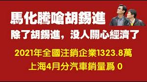 马化腾呛胡锡进。除了胡锡进，没人关心经济了。2021年全国注销企业1323.8万，上海4月份汽车销量为零。2022.05.21NO.1269#马化腾#胡锡进