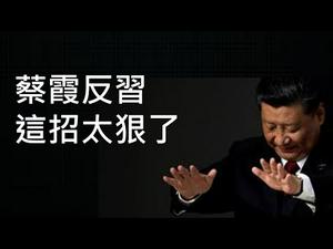 蔡霞这个反习招数太狠了！美国反共需提高反共层级，中国民主派应鼓励体制内反习势力（一平快评159，2020/9/8）