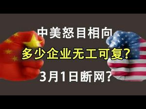 中美怒目挥拳相向，多少企业无工可复？3月1号会断网吗？（政论天下第120集 20200225）天亮时分