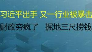 财经冷眼：习近平出手，又一行业被击垮！财政穷疯了，蚊子腿上刮肉，掘地三尺捞钱！大家都要小心！（20211221第695期）