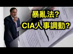 川普铁杆支持者文件被拍照!暴动法!CIA人事安排!左媒如坐针毡……