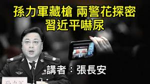 孙力军私藏枪支，两警花献身探秘，习近平吓尿，从此不敢去灾区！（讲者：张长安）