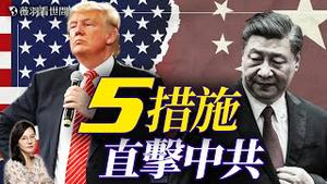更强硬的来了！川普签署备忘录，五大措施直击中共！｜薇羽看世间 20250223