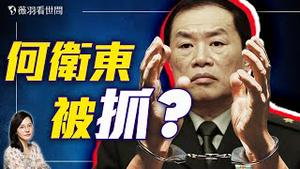 炸裂！惊传何卫东被抓！习近平人马再被清洗？蔡奇两会面色沈重透玄机！｜薇羽看世间 20250313