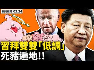 百年党庆，习老大忽然低调！洩密：拜登淡出白宫，哈里斯悄然上位，奥巴马是什么角色？日本将14万人全军演习，自卫队或升级；中共威胁大，台湾或入北约？死猪被弃尸，猪瘟也变种！【李沐阳 新闻看点03.24】