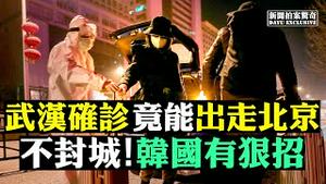 💔康复者为何自杀！孕妇无医、民工流浪、医护身伤，封城5惨况，出城四招！武汉肺炎病毒难发现难治癒，只能死守？美国疫苗最快1年，彭斯成防疫大元帅；意大利感染者毒到巴西；李泽华失联 |新闻拍案惊奇 大宇