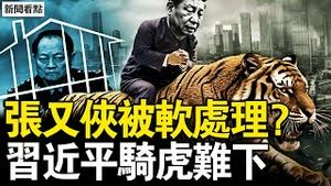 张又侠被软处理？董军另类露脸；陈光诚赴日诉讼，王志安入狱遣返？电影人独特视角，集恶终于遭窀？【新闻看点 李沐阳2.7】