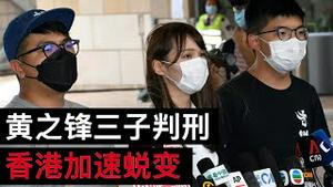 黄之锋、周庭、林朗彦判刑香港加速蜕变/Huang Zhifeng, Zhou Ting and Lin Langyan Were Sentenced/王剑每日观察/20201202