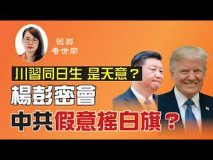 【第57期】川普习近平同一天生日；两个敌对国家的人，还有共同的目标吗？美国出台最强制裁法案，蓬佩奥和杨洁篪密会 香港国安法 | 薇羽看世间 20200617（中英文字幕）