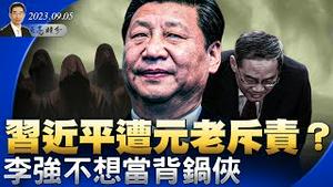 北戴河会议，习近平遭元老斥责？中国经济困境，李强不想当背锅侠；“伤害中华民族感情罪”首先伤害的是中国经济（政论天下第1102集 20230905）天亮时分