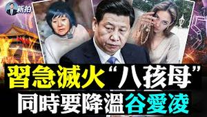 💥江苏调查，背后不能说的秘密！董集村趴地“钟姓女”无音讯；医院治病时“盗.器.官”，江西男控诉遭打压；徐州妇联经费三千多万，被吁解散，丰县欠债123亿；胡锡进和众官媒同日齐出手｜新闻拍案惊奇 大宇