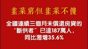 【韭菜穷但韭菜不傻】全国连续三个月未偿还房贷的“断供者”已达187万人，同比激增35.6%。2025.11.02NO3121