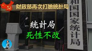 中国统计局数据造假，再次被财政部打脸！政府个税收入减少，居民可支配收入却增加，这组数据是否矛盾？｜米国路边社 [20230521#425]