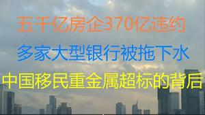 财经冷眼：5000亿房企巨头370亿债务违约， 工行和平安被拖下水！国务院开会商对策！中国移民重金属严重超标的背后！（20210503第519期）