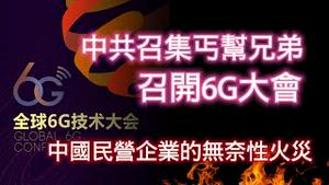 中共召集丐帮兄弟召开6G大会；中国民营企业的无奈性火灾。2024.03.21NO2237