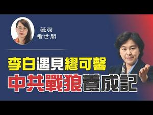 【第65期】如果李白活在当代，如果缪可馨活在唐代，他们会是怎样的结局？中共战狼对比白宫女发言人，你会做出什么结论？ | 薇羽看世间 20200625