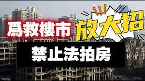 为救楼市放大招，禁止法拍房。2024.02.09NO2181