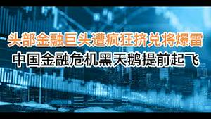 突发！头部金融巨头遭疯狂挤兑正在暴雷！中国金融危机黑天鹅或提前起飞！(20240201第1147期)