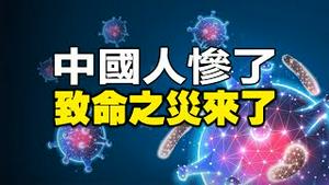 🔥🔥5月惨了❗ 2.4亿人中招❓香港疫情告急❗世卫警告“大角星”将带来致命之灾❗