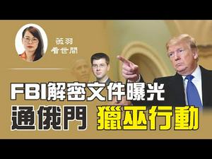 【第112期】前FBI律师被控罪，FBI 隐匿重要证据，前奥巴马国家安全顾问邮件被解密，通俄门真相水落石出。| 薇羽看世间 20200818