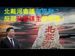 北戴河会议召开，习近平遭围攻？反习政变最大谋主是美国！政变之后民主派怎样应对？ （一平论政218，2020/8/5）