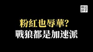 【公子时评】战狼说错话，评论大翻车！乌合麒麟辱华上微博热搜，五毛网红难道是隐藏的反贼？爱国也是一门生意！中小学教科书大量插画不忍直视，引发网络争议...