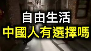 大量底层互害——社会崩溃中！财富和自由如何选择？中国人原来还可以这么活著……