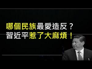 习近平的内蒙困局，退让或镇压都有严重后果！用事实和数据证明，中国人反抗精神世界第一！ （一平快评157，2020/9/5）