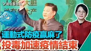 从动态清零到暴力解封，收放自如，大国防疫运动赢麻了；看了北京冷冻肉库，市委书记吓哭了；结束疫情唯一的灵丹妙药。｜薇羽看世间 第584期 20221226