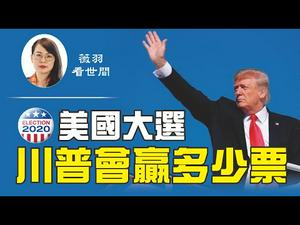 【第117期】最近连续发生的事情，让美国大选气氛紧张。美国有多少人支持川普？川普能否赢得选举、获得连任？民主党又会出什么招数？| 薇羽看世间 20200824