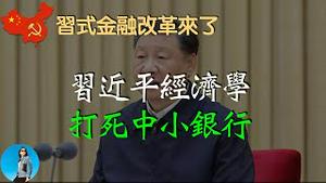 习近平经济学来了！习式金融改革：打死中小银行，做大做强国有金融机构｜米国路边社 [20231031#496]