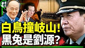 😆旧金山放馊招为清零帝窜访挡刺客！刘源王岐山带太子党起义，黑兔金剑崖山同现身？曾庆红看呆（老北京茶馆/第1047集/2023/11/12）