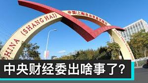 中央财经委出啥事了?/What Happened to the Central Financial and Economic Affairs Commission/王剑每日观察/20201209