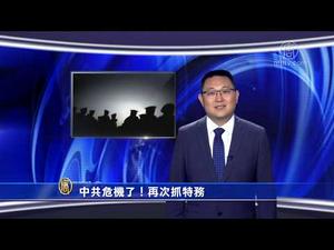 【微视频】中共危机了！再次抓特务(延安整风运动)