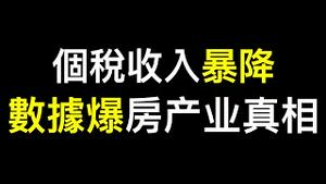 中国人的钱去哪了❓数据爆房地产行业真相！个人所得税暴降,中国正飞速奔向赤贫⋯⋯