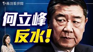 惊传5人和习近平划清界线！何立峰主导中美谈判是温家宝的安排！｜薇羽看世间 20250515