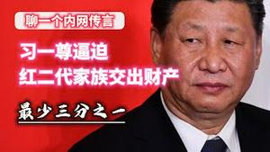 【聊一个内网传言】习一尊逼迫红二代家族交出财产，最少三分之一。2023.12.11NO2105#习近平