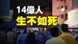 🔥🔥中国式清零 习近平测试14亿人抗压能力❗中国人生不如死 何时造反❓