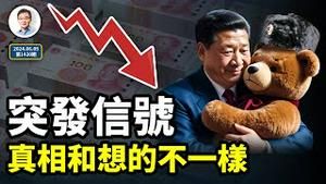 突发信号！中共「熊抱」后的真相和想的不一样；中国外汇储备被这样偷袭，危险了（文昭谈古论今20240605第1420期）