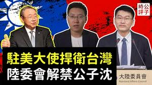 贬损台湾！驻美大使俞大㵢当场驳斥我的老师林和立！国民党主席辩论好气又好笑，陆委会把我解禁了...