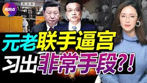 💥#习下李上 可信度有多高? 两人不在争权, 可能在合作! 爆料: 此次