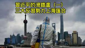 习亲信李强成光杆司令，竟向上海帮发出哀求！三大反对派势力联合出击；两种全新反抗方法同时发功！ （一平论政2022/4/9)