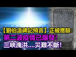 ?疫情未了降洪水❗万物同遭劫 虫蚁亦遭殃❗【刘伯温碑记预言】三峡洩洪，更大灾难将到，谁能逃❓救劫预言藏保命秘方??