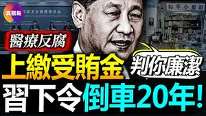 💰北京卫健委开“廉洁账户”, 上缴受贿金即可贪腐变“廉洁”?! 习近平为何热衷于“倒查20年”, 细看习近平近3年举措, 会有一个惊人发现: 习皇要让中国回到贫穷封闭的90年代中后期!【150823】