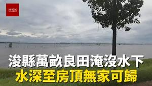 浚县万亩农田淹没水下，房子只剩屋顶，舍小家保大家，老百姓太难了