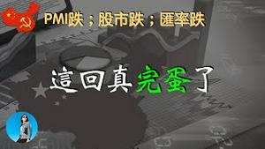 中国经济完蛋了，二季度宏观数据全面熄火，李强新总理竟然也躺平了！｜米国路边社 [20230601#431]