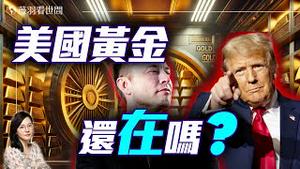川普与马斯克都在质疑的财富真相！美国的金库里是堆满了金砖？还是只剩下一场披萨派对？｜薇羽看世间 20250312
