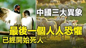 🔥🔥中国大陆三大异象：第二个史上罕见 最后一个人人恐惧 因为已经开始死人❗❗