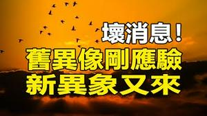 🔥🔥大连异像后 刚刚地震了❗福建也发异象 什么灾难❓中共高官被马活活拖死 报应真惨❗