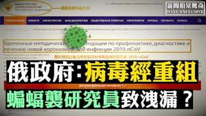 ❗️首个感染者被找到？武汉肺炎病毒外洩，疾控中心和P4都被点名；习近平早下令防控无人听？俄罗斯政府：武汉肺炎病毒是「重组结合体」；大陆防疫可取经香港反送中；雷神山被浇成水帘洞 | 新闻拍案惊奇 大宇